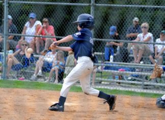 Softball-vs-Baseball-on-hometalk.news