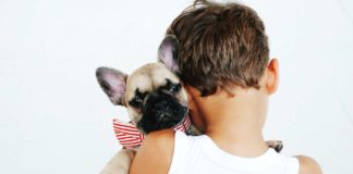 Some-Best-&-Family-Pets-for-the-Families-with-Kids-on-hometalk-news