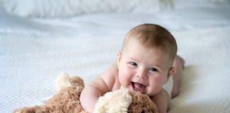 Buying a Teddy Bear for Your Baby